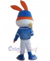 Rabbit mascot costume