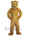 Gopher mascot costume