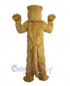 Gopher mascot costume