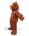 Bear mascot costume