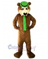 Bear mascot costume