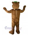 Bear mascot costume