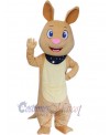 Kangaroo mascot costume