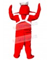 Lobster mascot costume
