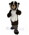 Badger mascot costume