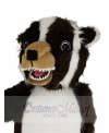 Badger mascot costume