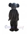 Rat Mouse mascot costume