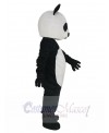 Panda mascot costume