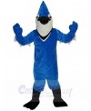 bird mascot costume