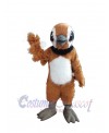 Quail Bird mascot costume