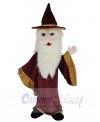 Merlin Wizard mascot costume