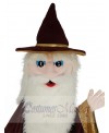 Merlin Wizard mascot costume