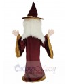 Merlin Wizard mascot costume