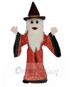 Merlin Wizard Mascot Costume Cartoon