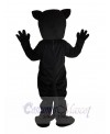 Panther mascot costume