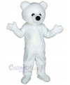 Bear mascot costume