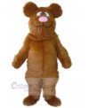 Bear mascot costume