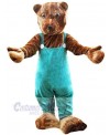 Bear mascot costume