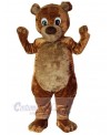 Bear mascot costume