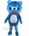 Bear mascot costume