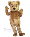 Bear mascot costume
