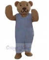 Bear mascot costume