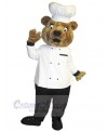 Bear mascot costume
