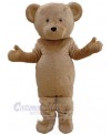Bear mascot costume