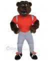 Bear mascot costume