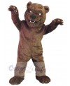 Bear mascot costume