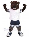 Bear mascot costume