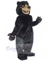 Bear mascot costume