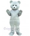 Bear mascot costume