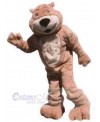 Bear mascot costume