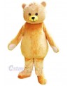 Bear mascot costume