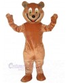 Bear mascot costume