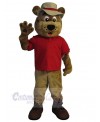 Bear mascot costume