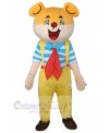 Bear mascot costume