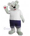 Bear mascot costume