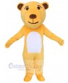 Bear mascot costume