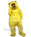 Bear mascot costume
