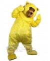 Bear mascot costume