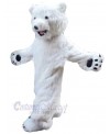 Bear mascot costume