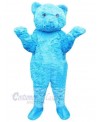 Bear mascot costume