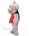 Bear mascot costume