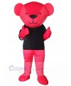 Bear mascot costume