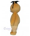 Bear mascot costume