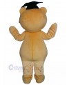 Bear mascot costume