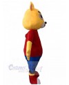 Bear mascot costume