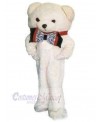 Bear mascot costume
